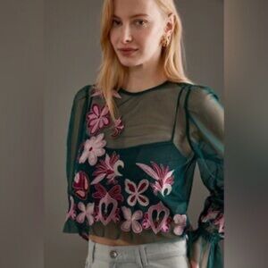 Anthropologie sheer embroidered top